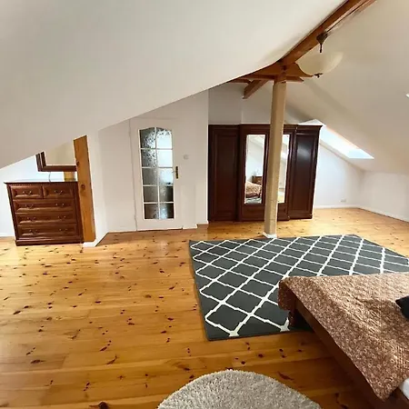 Apartment Penthouse In The Old Citycenter *
