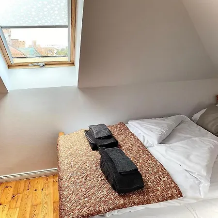 Apartament Penthouse In The Old Citycenter *